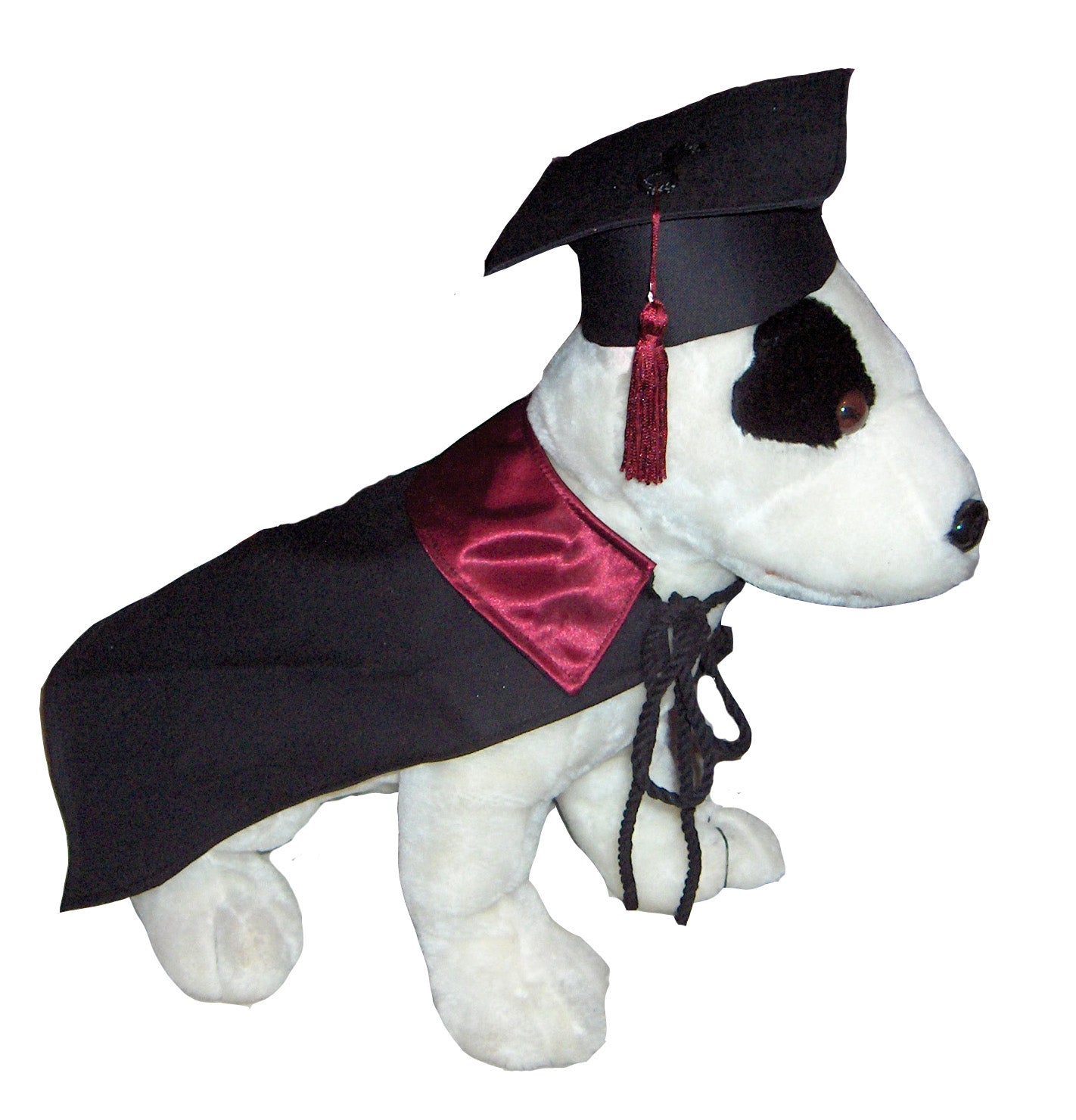 Puppy graduation outfit hotsell